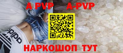 гидра Кингисепп