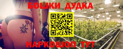 гидра Кингисепп