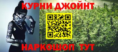 гидра Кингисепп