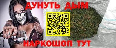 гидра Кингисепп