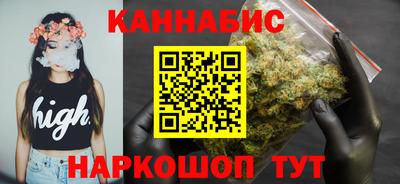 гидра Кингисепп