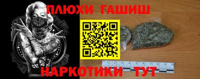 гидра Кингисепп