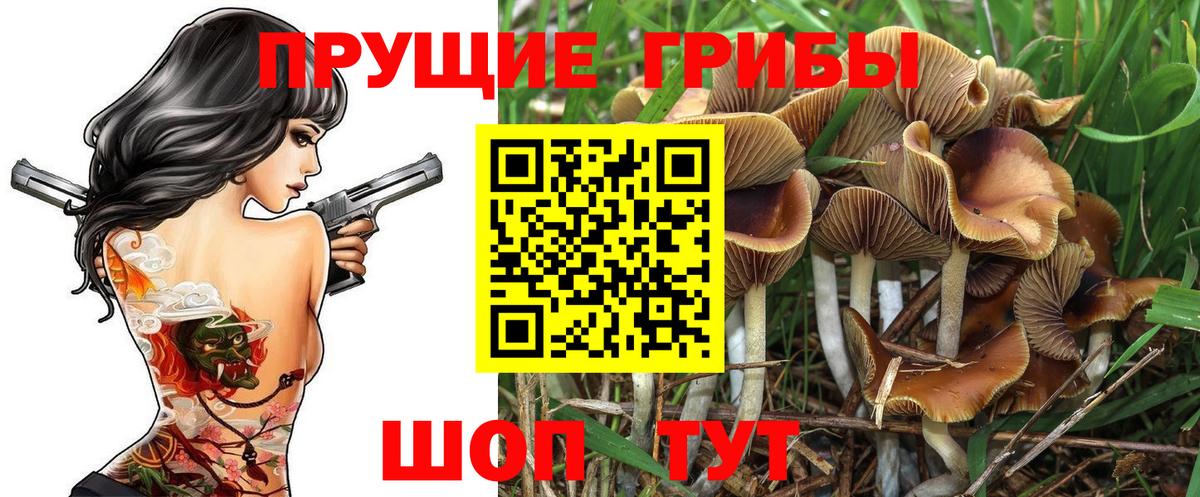 Галлюциногенные грибы Cubensis  Вход с VPN  Кудымкар 