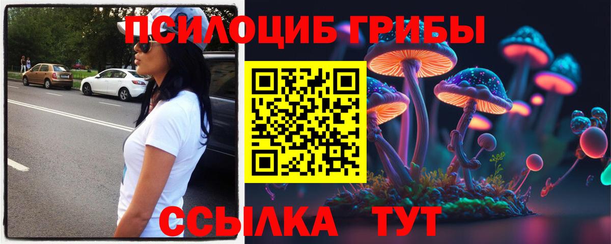 Псилоцибиновые грибы прущие грибы Кудымкар